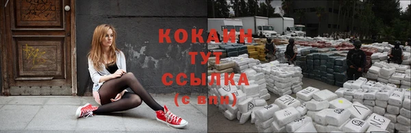 ГАЛЛЮЦИНОГЕННЫЕ ГРИБЫ Кодинск