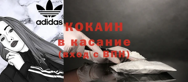 дмт Козельск