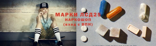 ГАЛЛЮЦИНОГЕННЫЕ ГРИБЫ Кодинск