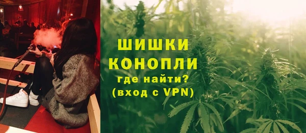 ГАЛЛЮЦИНОГЕННЫЕ ГРИБЫ Кодинск