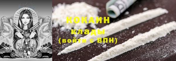 ГАЛЛЮЦИНОГЕННЫЕ ГРИБЫ Кодинск