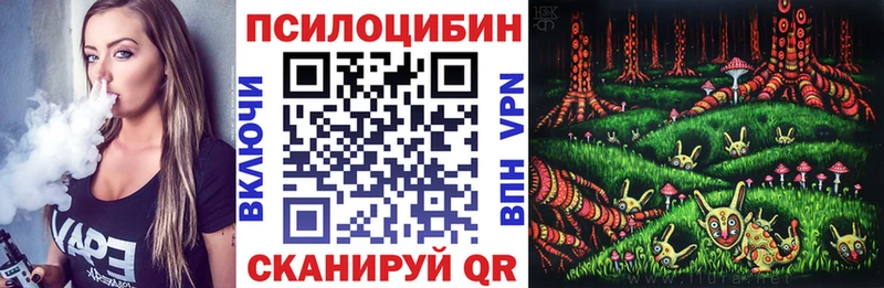 Псилоцибиновые грибы GOLDEN TEACHER  Купить закладки  Бирюсинск 