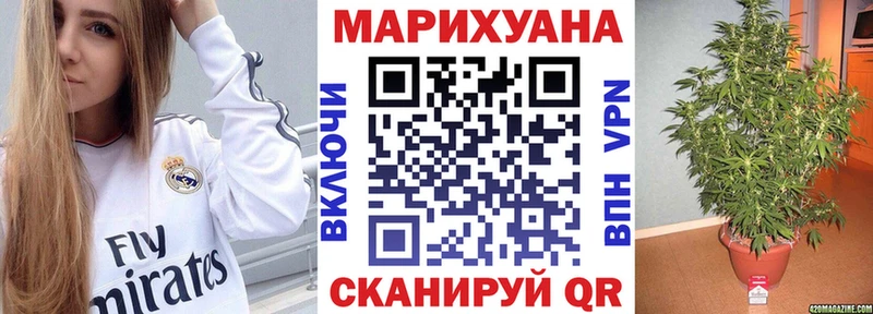 Конопля план  Купить  Бирюсинск 